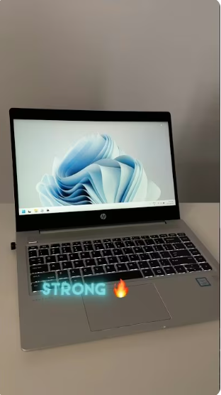 HP ProBook 440 G10